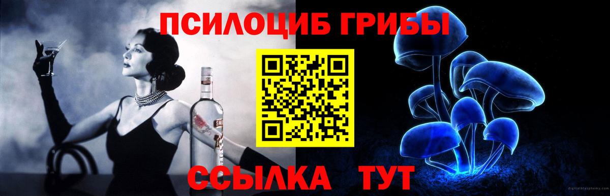 Галлюциногенные грибы GOLDEN TEACHER  наркотики  Галлюциногенные грибы Psilocybine cubensis  Отрадный  Вход с VPN 